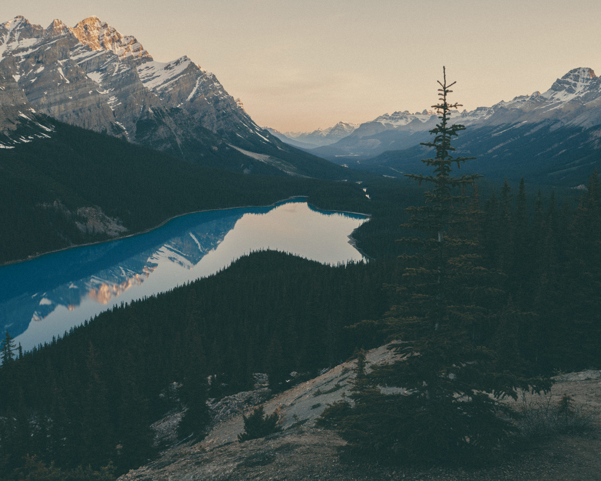 Peyto Lake, quiet and cinematic like faded film