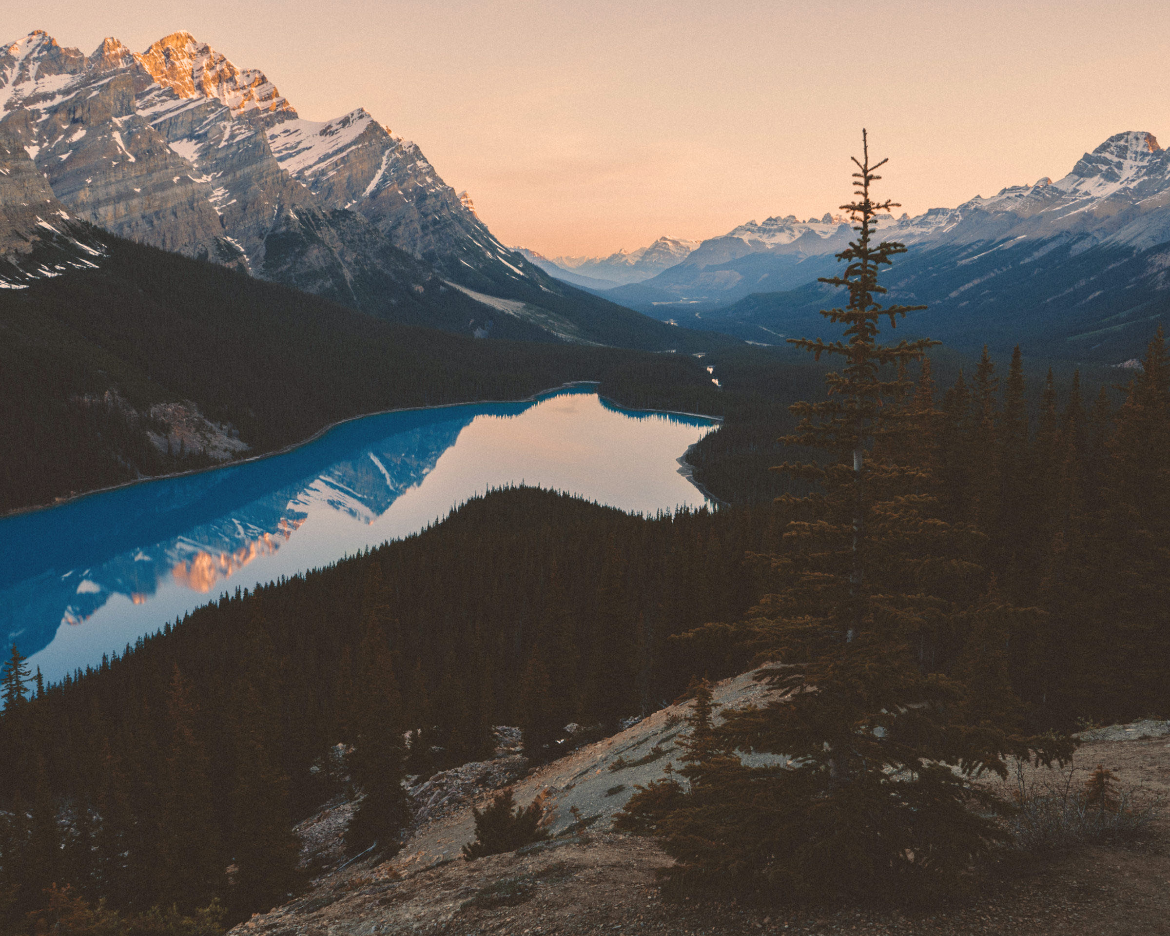 Peyto Lake in warm golden-hour light