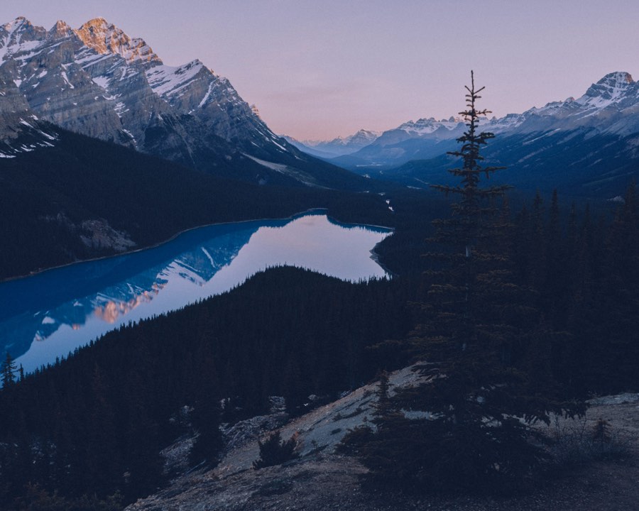 Peyto Lake, blue hour